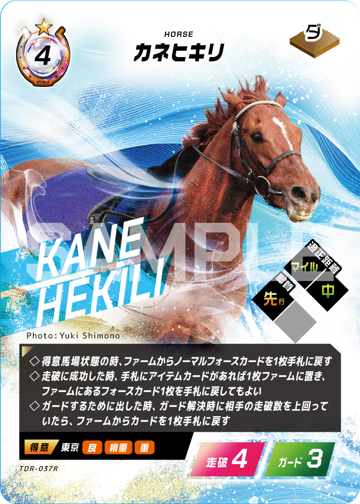 カネヒキリ【R】TDR-037R