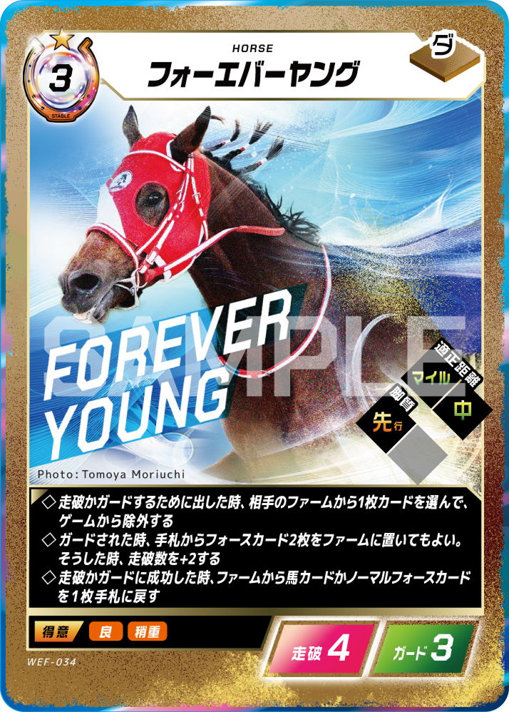 はじめての方へ・商品選び｜Force of the Horse